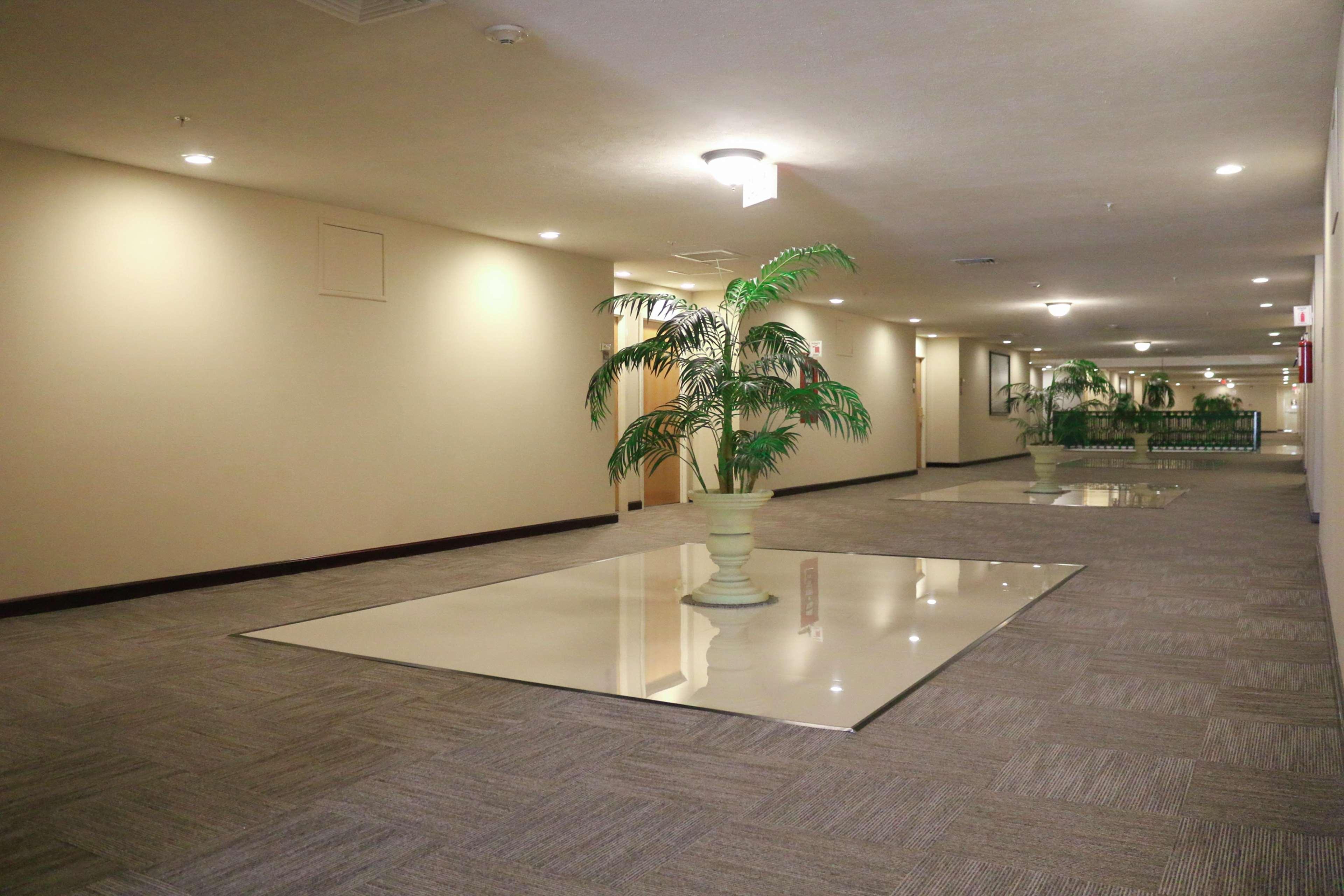 Hampton Inn Tampico Zona Dorada Eksteriør bilde